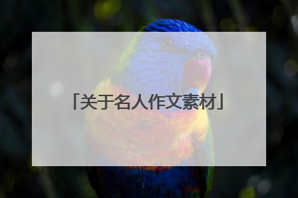 关于名人作文素材