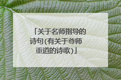 关于名师指导的诗句(有关于尊师重道的诗歌)