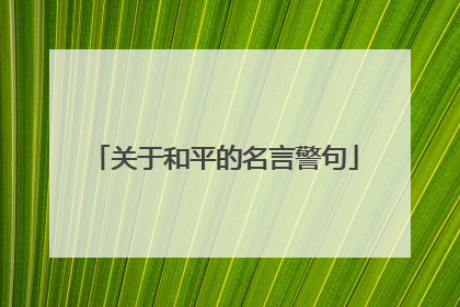 关于和平的名言警句