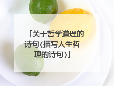 关于哲学道理的诗句(描写人生哲理的诗句)