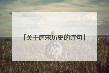 关于唐宋历史的诗句