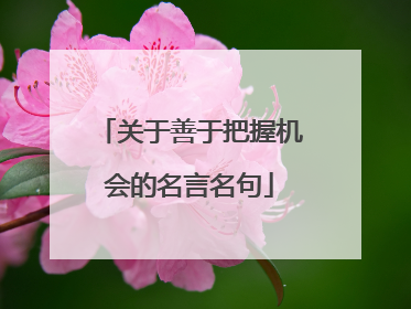 关于善于把握机会的名言名句