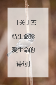 关于善待生命珍爱生命的诗句