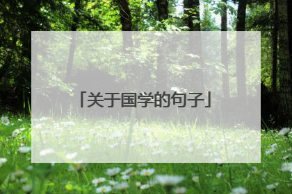 关于国学的句子