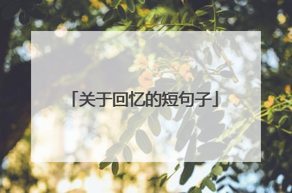 关于回忆的短句子