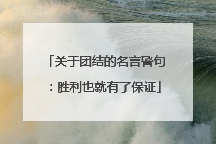 关于团结的名言警句:胜利也就有了保证
