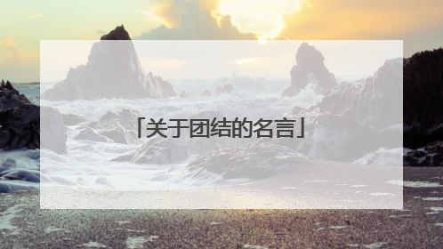 关于团结的名言