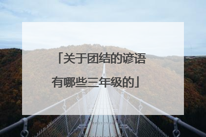 关于团结的谚语有哪些三年级的
