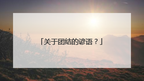 关于团结的谚语？