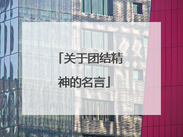 关于团结精神的名言