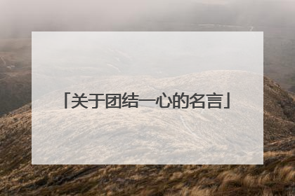 关于团结一心的名言