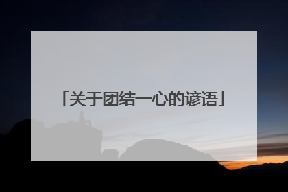 关于团结一心的谚语