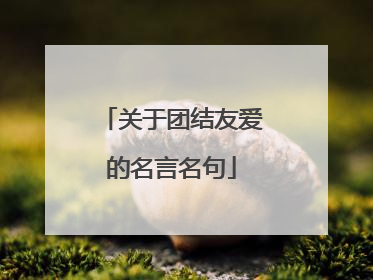 关于团结友爱的名言名句