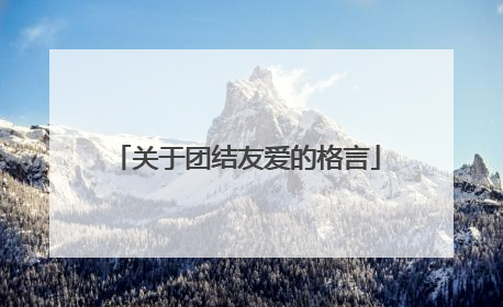关于团结友爱的格言