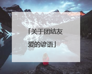 关于团结友爱的谚语