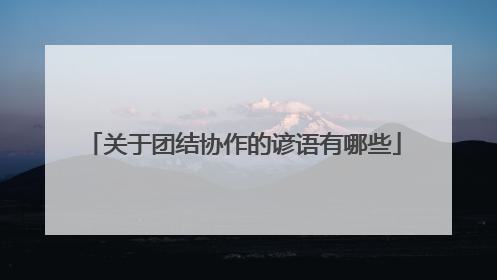 关于团结协作的谚语有哪些