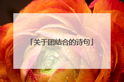 关于团结合的诗句