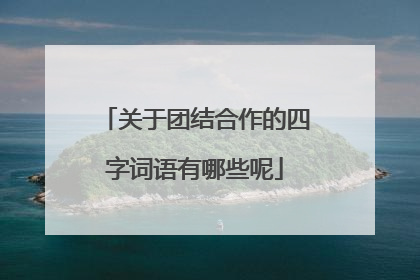 关于团结合作的四字词语有哪些呢