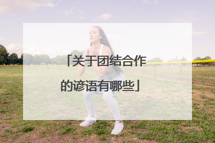 关于团结合作的谚语有哪些