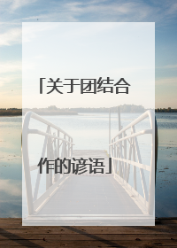 关于团结合作的谚语