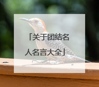 关于团结名人名言大全