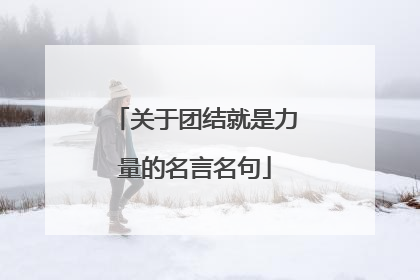 关于团结就是力量的名言名句