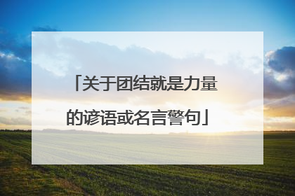 关于团结就是力量的谚语或名言警句