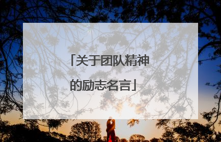 关于团队精神的励志名言