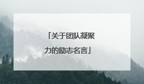 关于团队凝聚力的励志名言