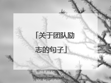 关于团队励志的句子