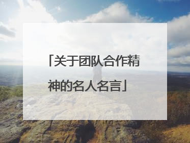 关于团队合作精神的名人名言