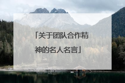 关于团队合作精神的名人名言