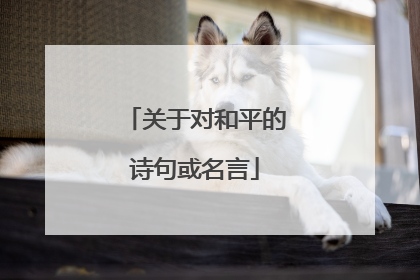 关于对和平的诗句或名言