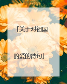 关于对祖国的爱的诗句