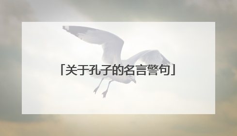 关于孔子的名言警句
