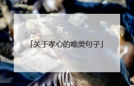 关于孝心的唯美句子