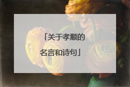 关于孝顺的名言和诗句