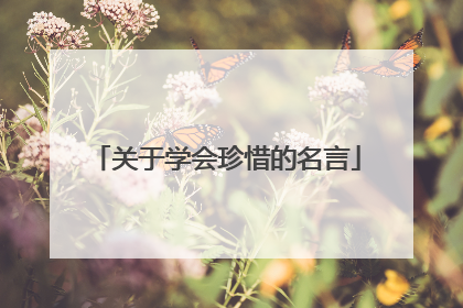 关于学会珍惜的名言
