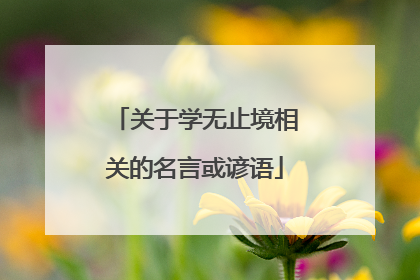 关于学无止境相关的名言或谚语