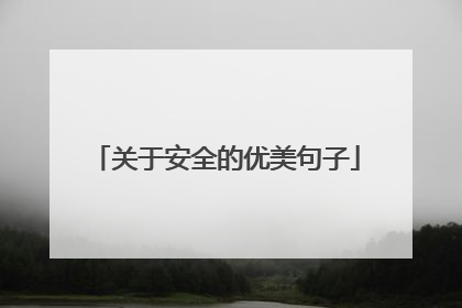 关于安全的优美句子