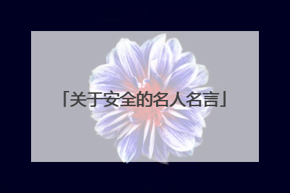 关于安全的名人名言
