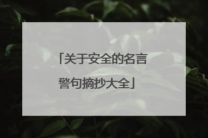 关于安全的名言警句摘抄大全