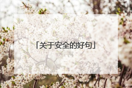 关于安全的好句