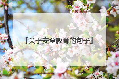 关于安全教育的句子