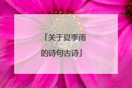 关于夏季雨的诗句古诗