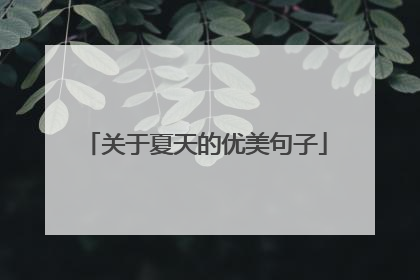 关于夏天的优美句子