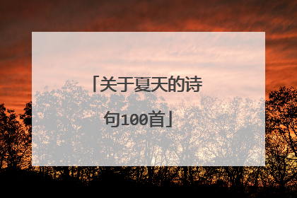 关于夏天的诗句100首
