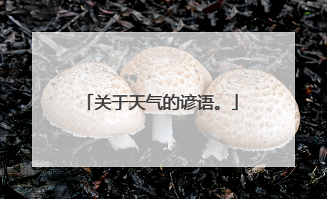 关于天气的谚语。