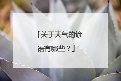 关于天气的谚语有哪些？