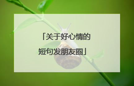 关于好心情的短句发朋友圈